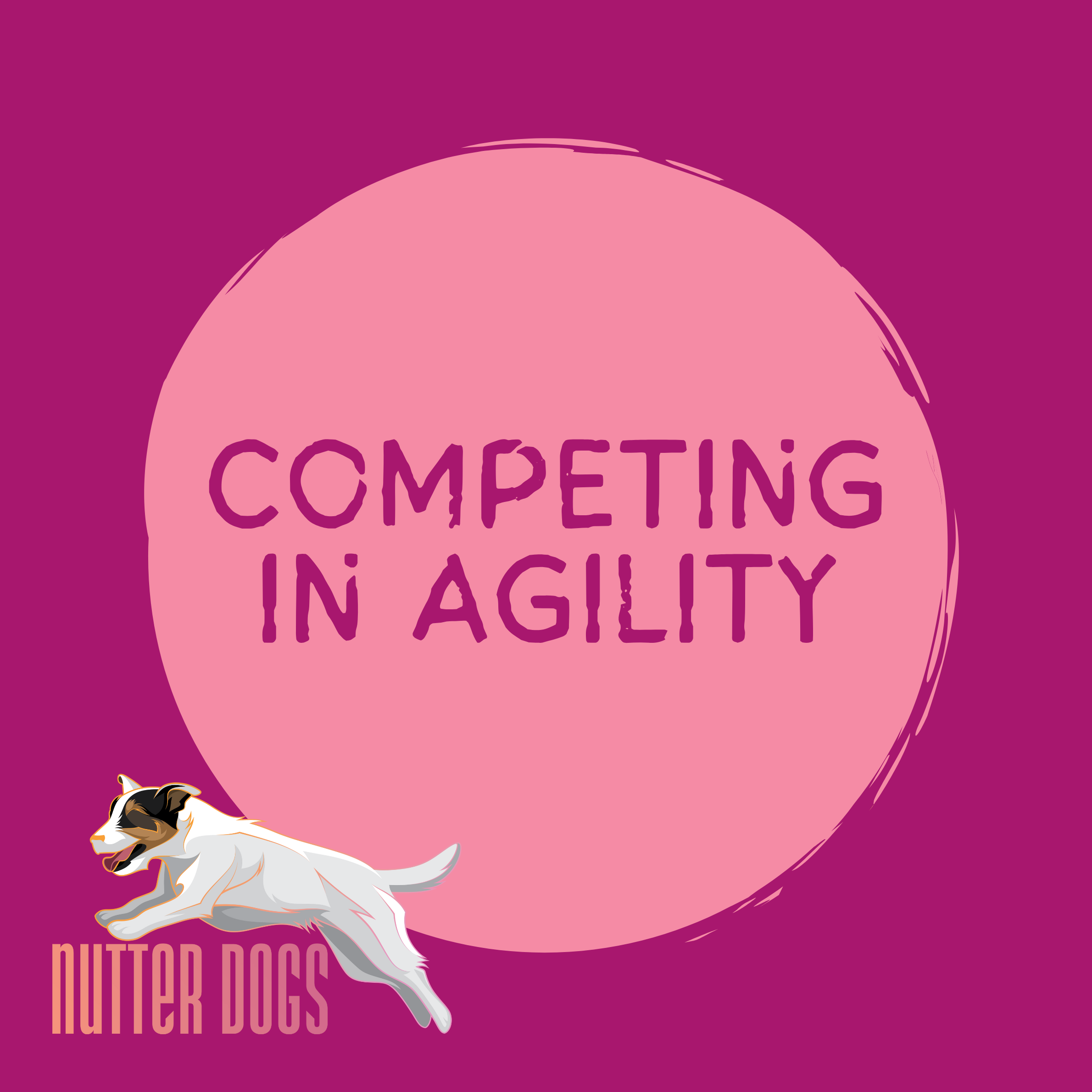 competing in agility (free!)