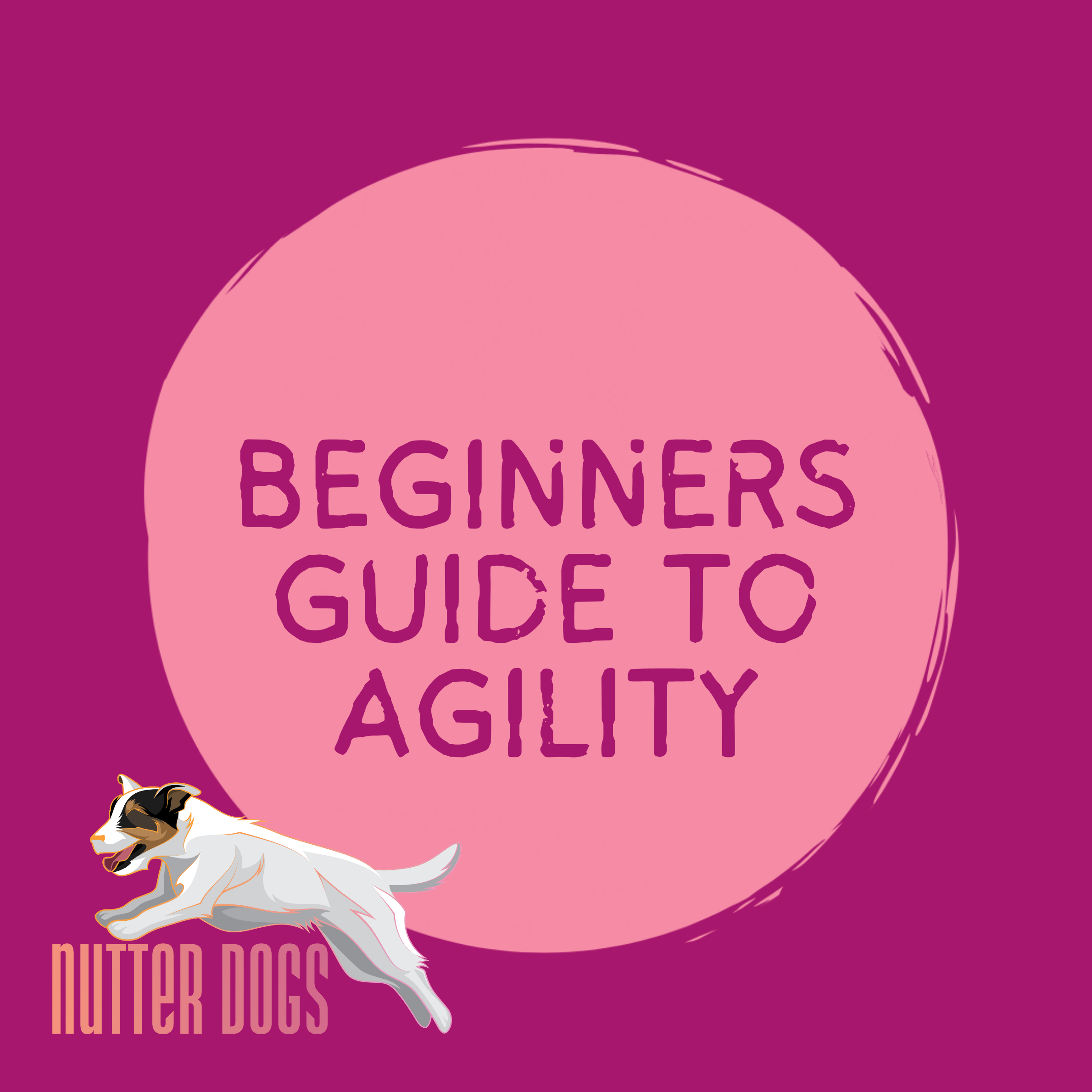 beginners guide to agility (free!)