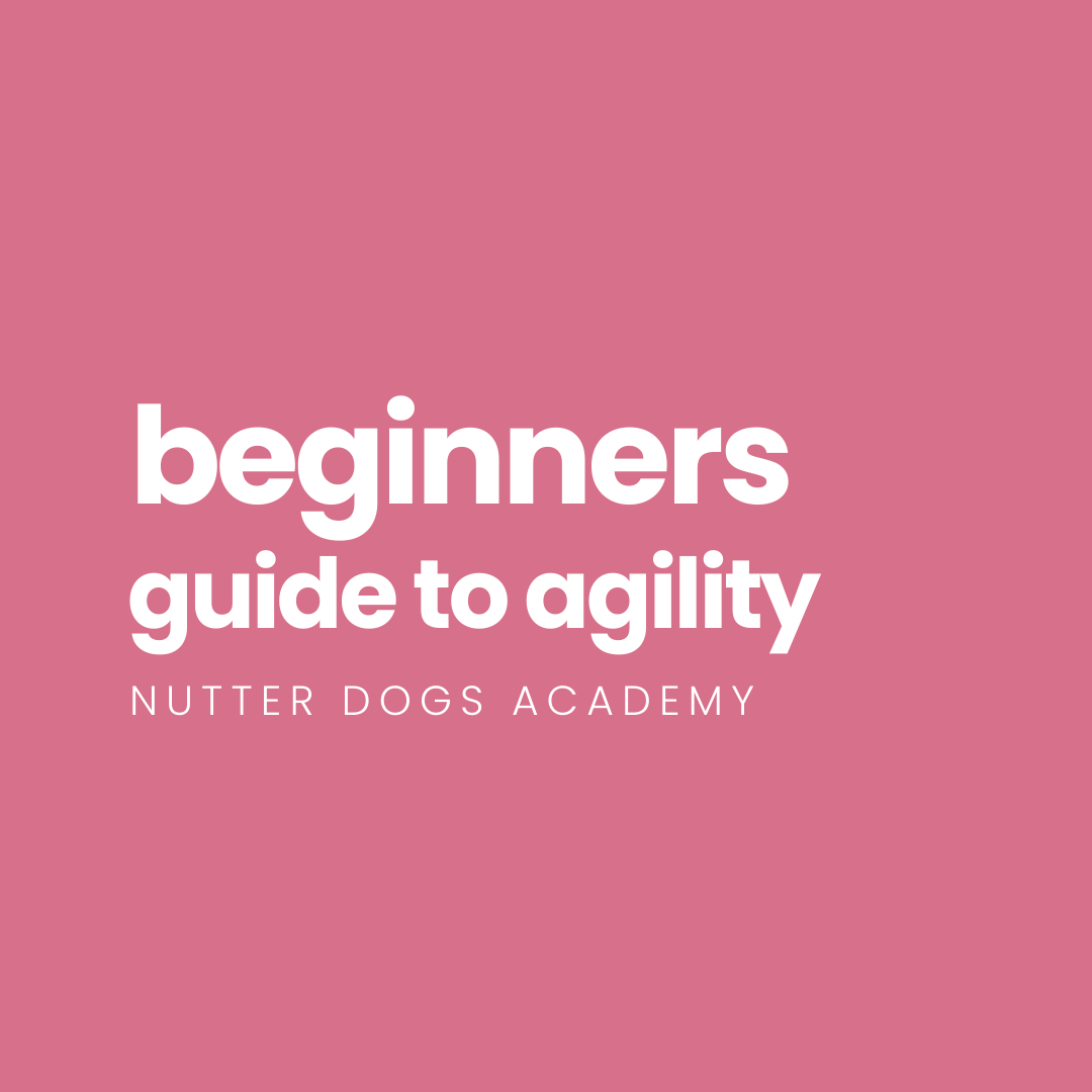 beginners guide to agility (free!)