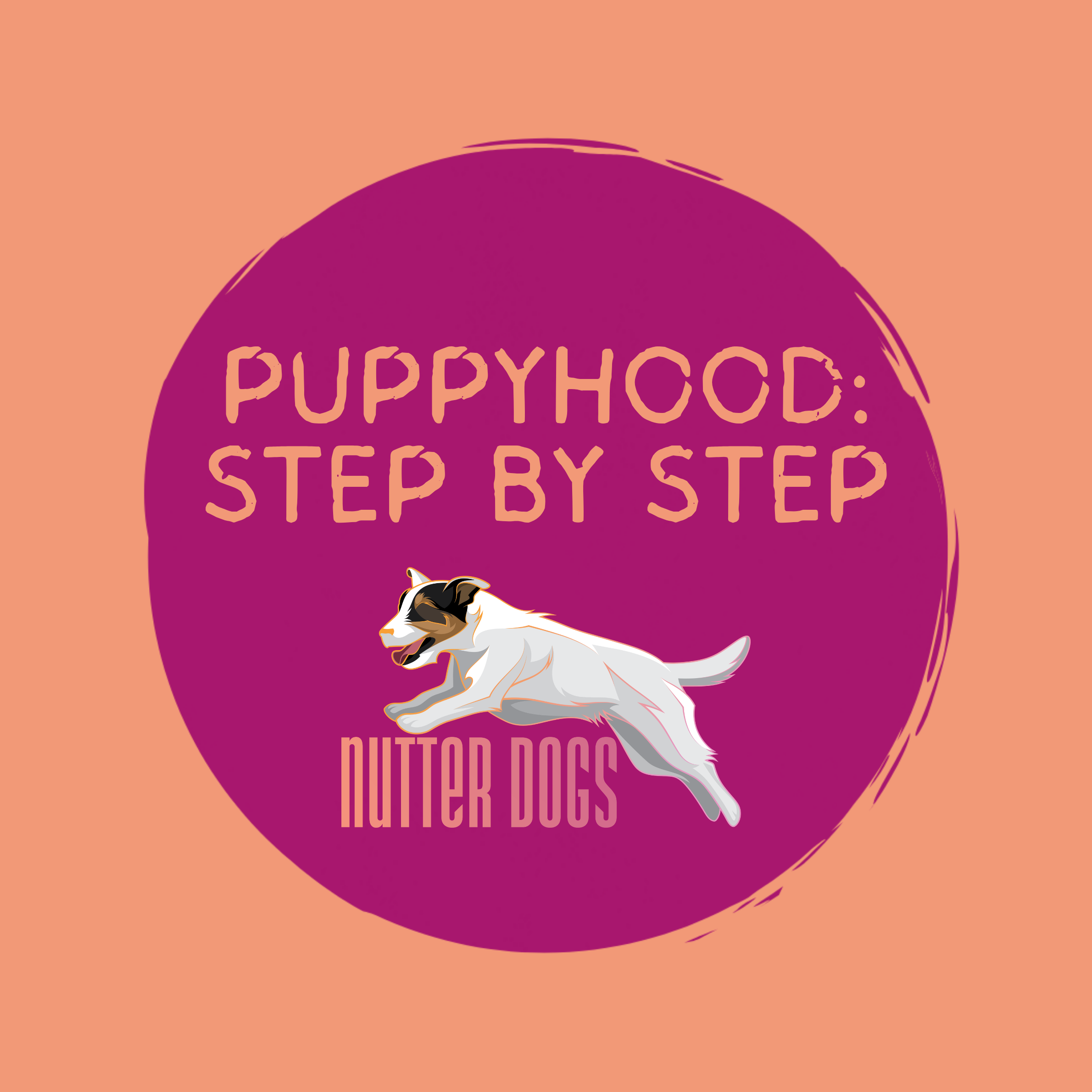 coming soon: puppyhood: step by step
