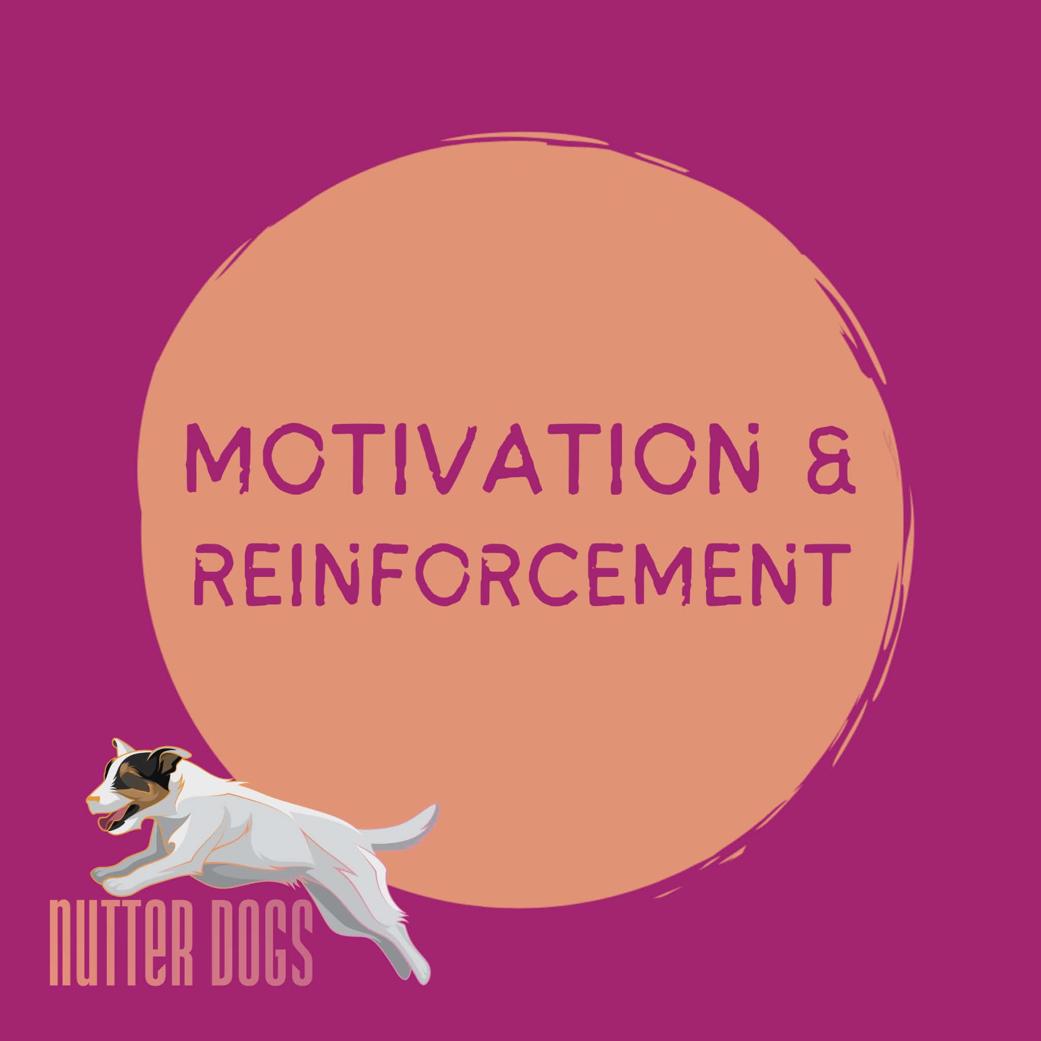 motivation and reinforcement
