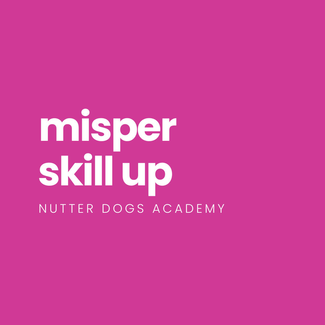 coming soon: misper skill-up