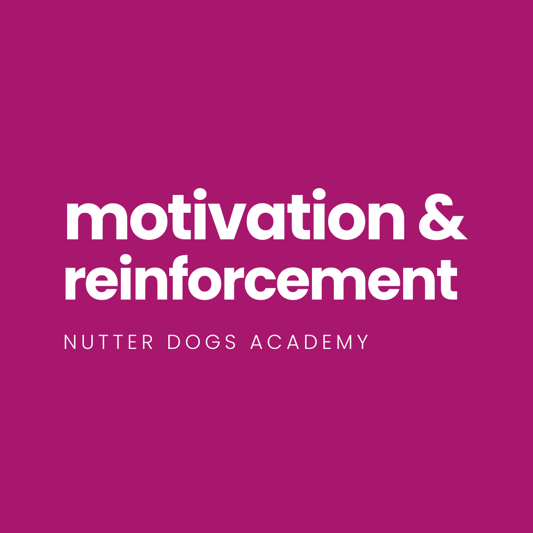 motivation and reinforcement
