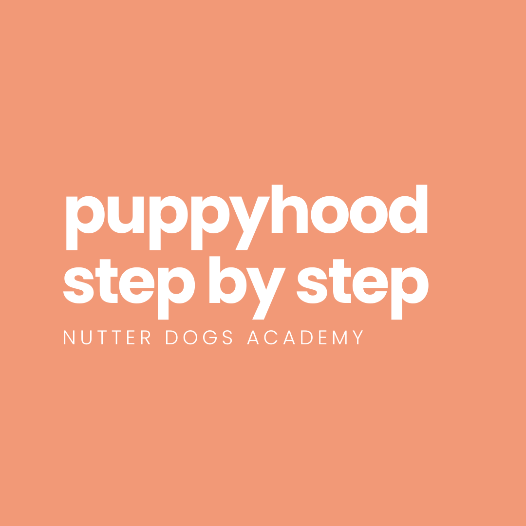 coming soon: puppyhood: step by step