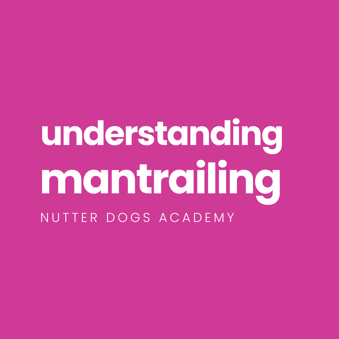 understanding mantrailing (free!)